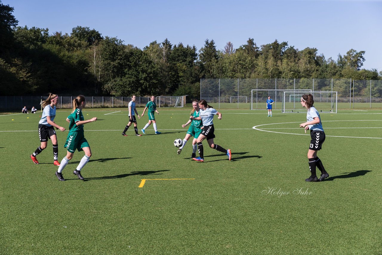 Bild 243 - wBJ FSG Kaltenkirchen - MSG Siebenbaeumen-Krummesse : Ergebnis: 2:5